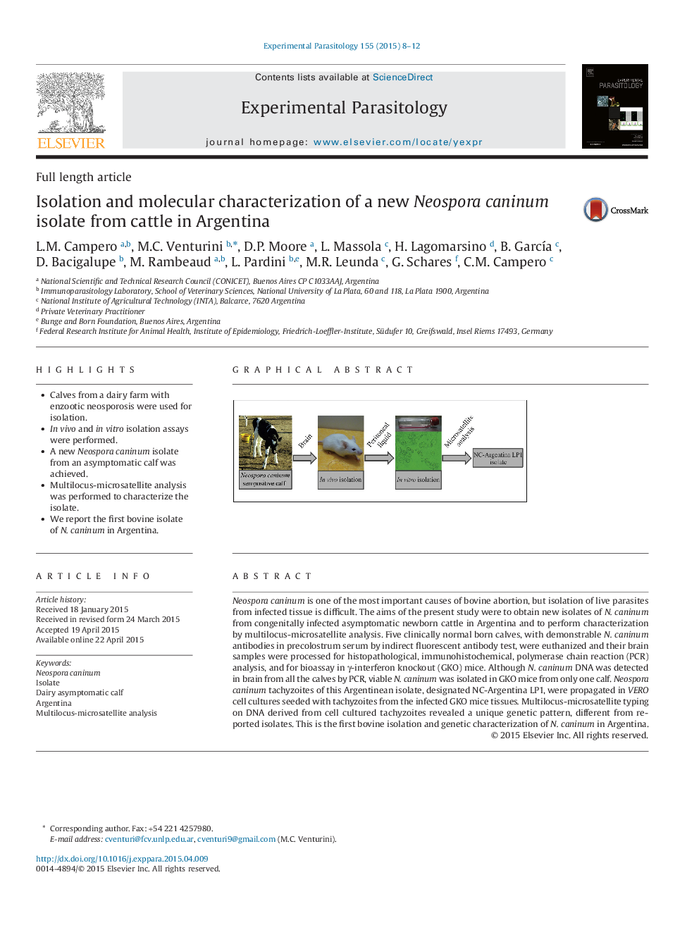 Isolation and molecular characterization of a new Neospora caninum isolate from cattle in Argentina