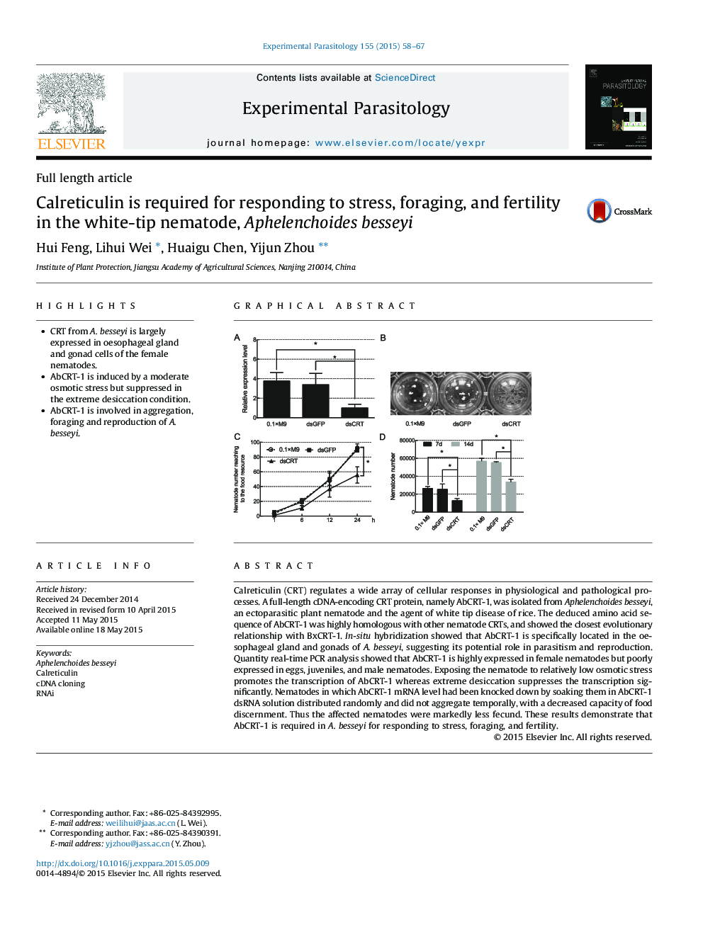 Calreticulin is required for responding to stress, foraging, and fertility in the white-tip nematode, Aphelenchoides besseyi