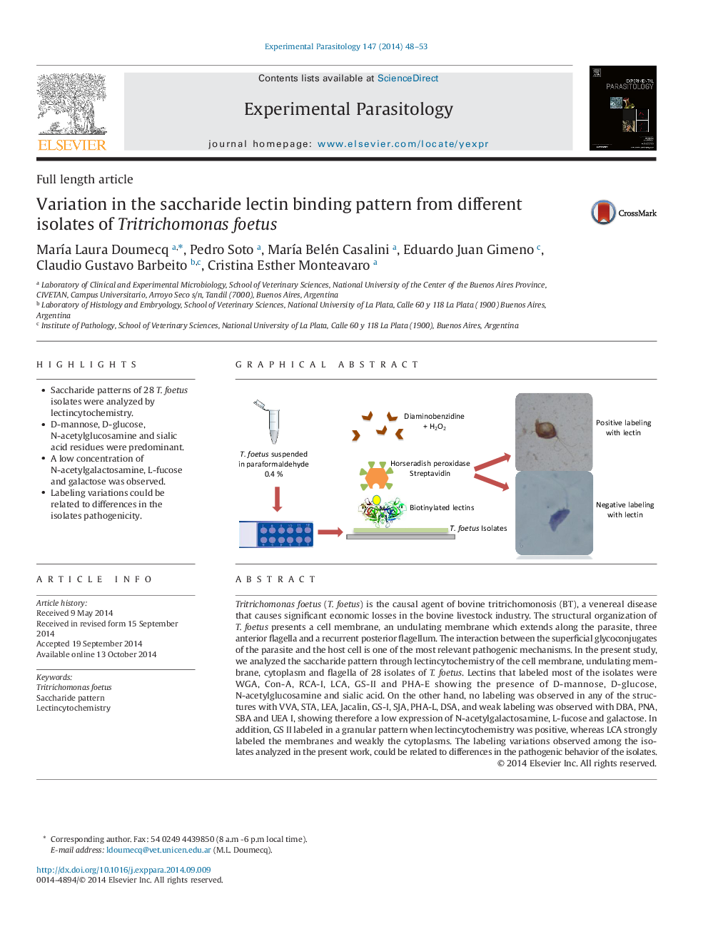 Variation in the saccharide lectin binding pattern from different isolates of Tritrichomonas foetus