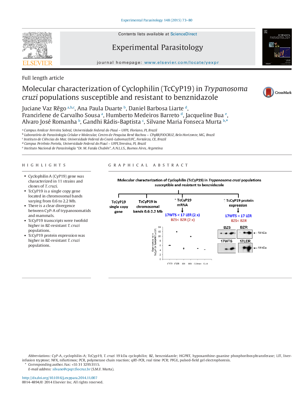 Molecular characterization of Cyclophilin (TcCyP19) in Trypanosoma cruzi populations susceptible and resistant to benznidazole