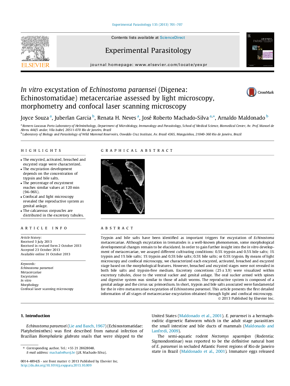 In vitro excystation of Echinostoma paraensei (Digenea: Echinostomatidae) metacercariae assessed by light microscopy, morphometry and confocal laser scanning microscopy