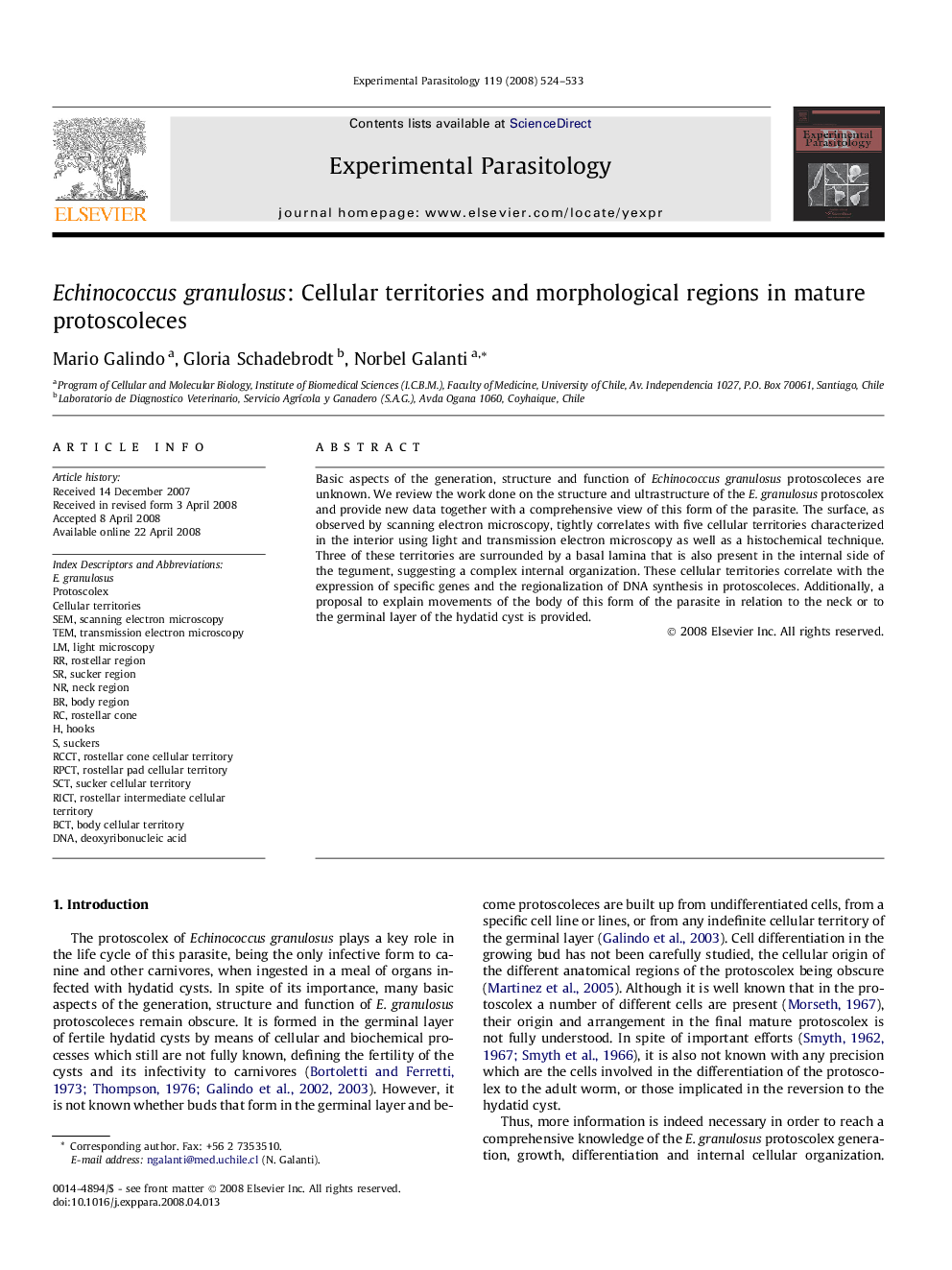 Echinococcus granulosus: Cellular territories and morphological regions in mature protoscoleces