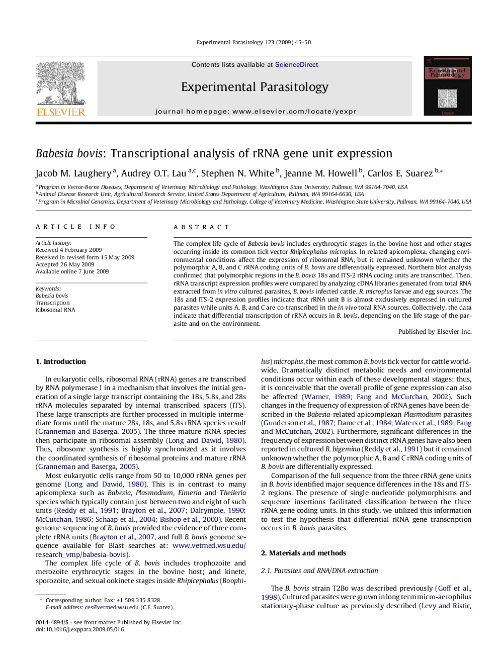 Babesia bovis: Transcriptional analysis of rRNA gene unit expression