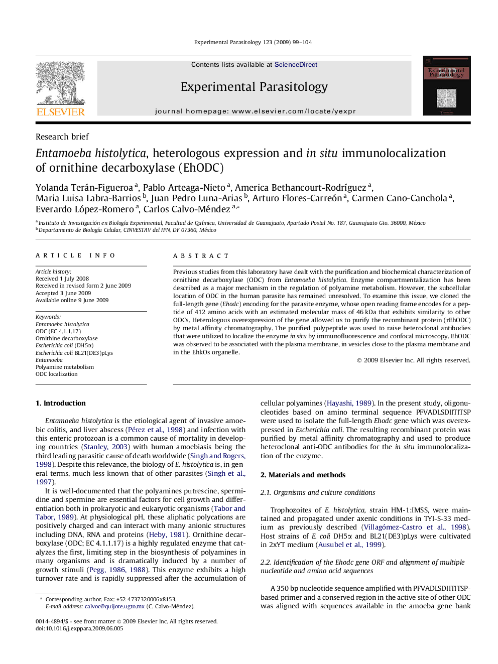 Entamoeba histolytica, heterologous expression and in situ immunolocalization of ornithine decarboxylase (EhODC)