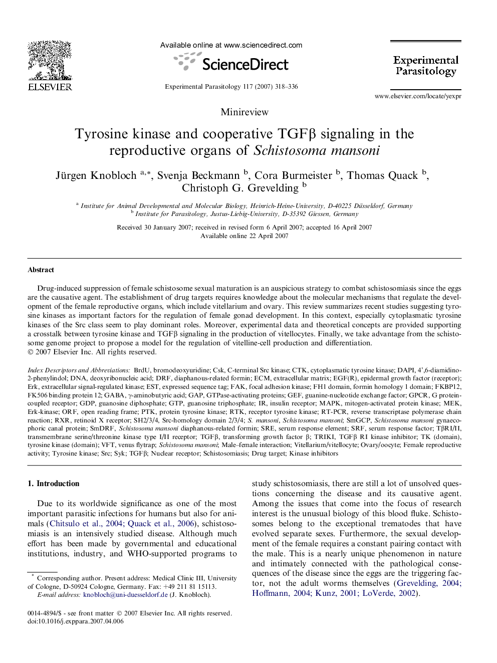 Tyrosine kinase and cooperative TGFβ signaling in the reproductive organs of Schistosoma mansoni