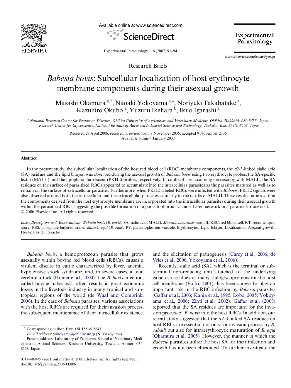 Babesia bovis: Subcellular localization of host erythrocyte membrane components during their asexual growth