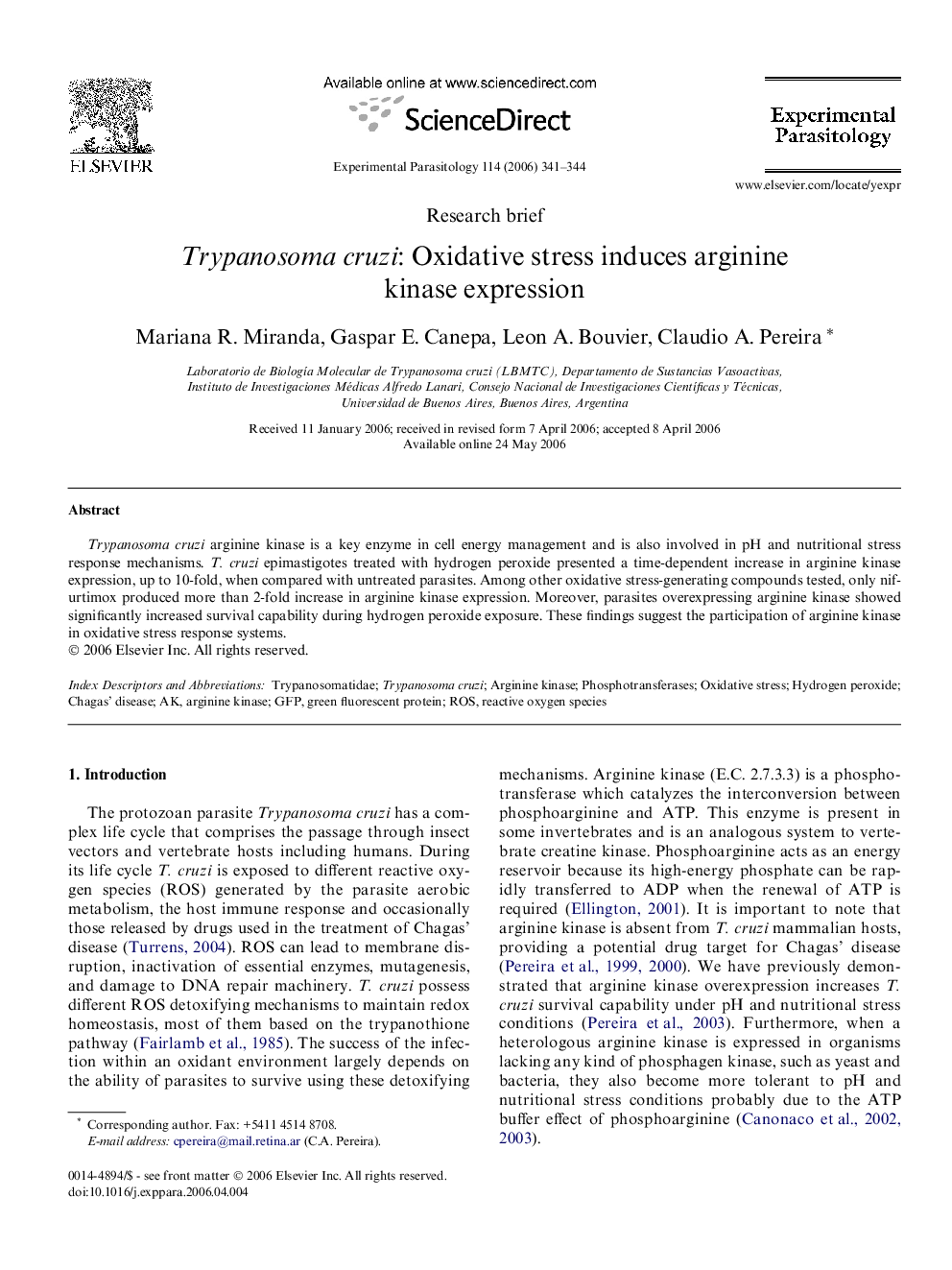 Trypanosoma cruzi: Oxidative stress induces arginine kinase expression