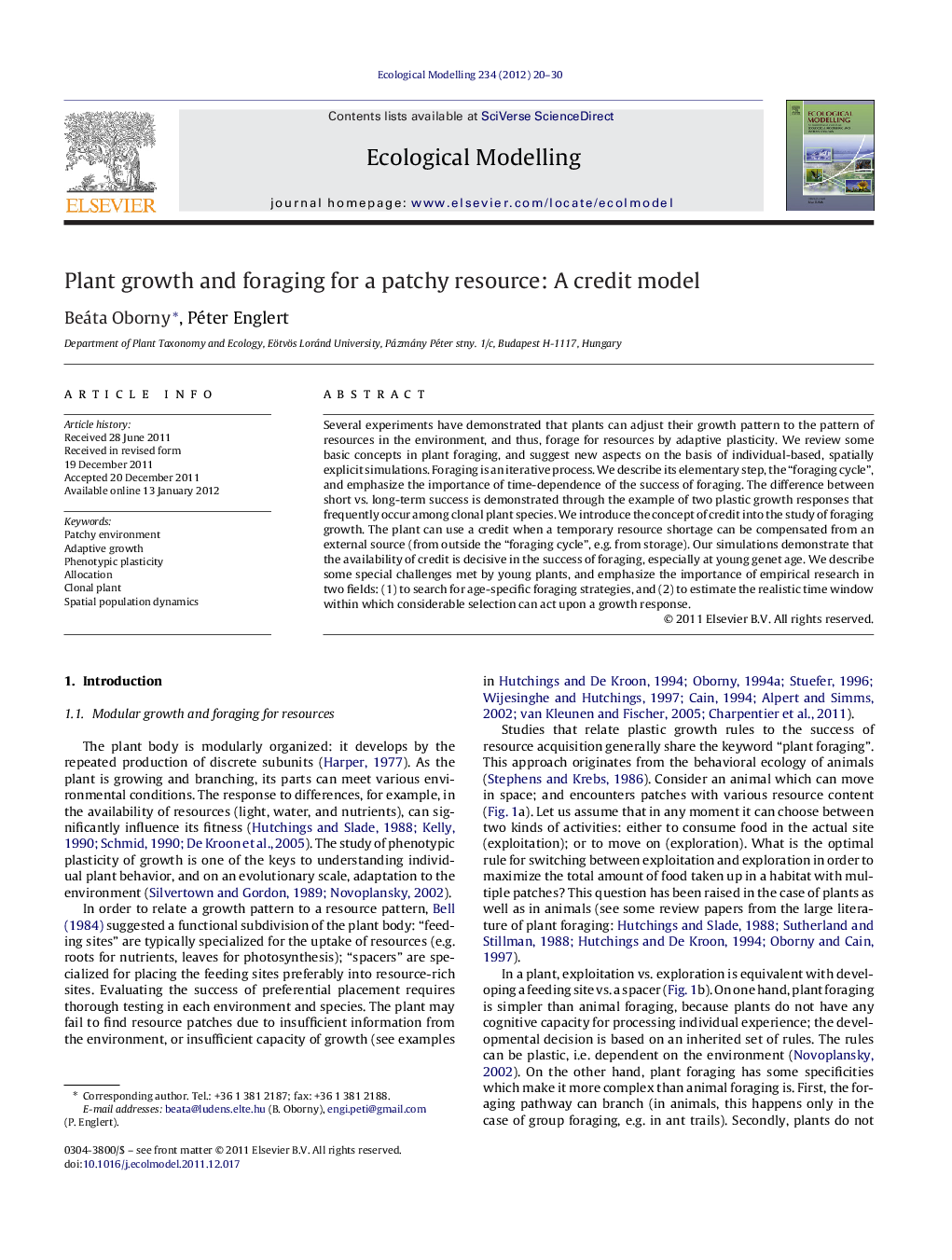 Plant growth and foraging for a patchy resource: A credit model