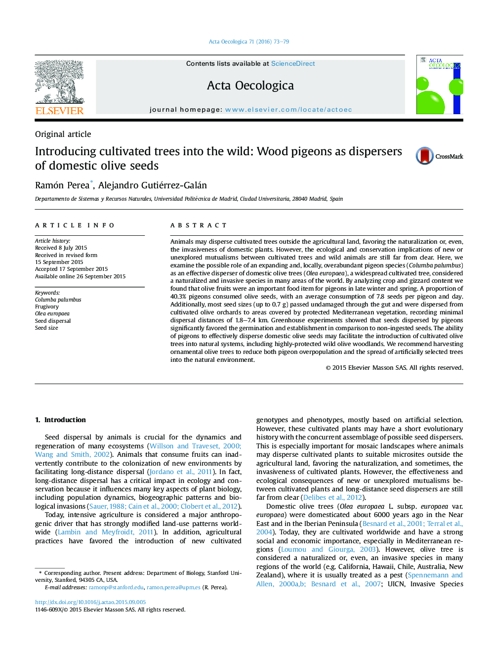 Introducing cultivated trees into the wild: Wood pigeons as dispersers of domestic olive seeds