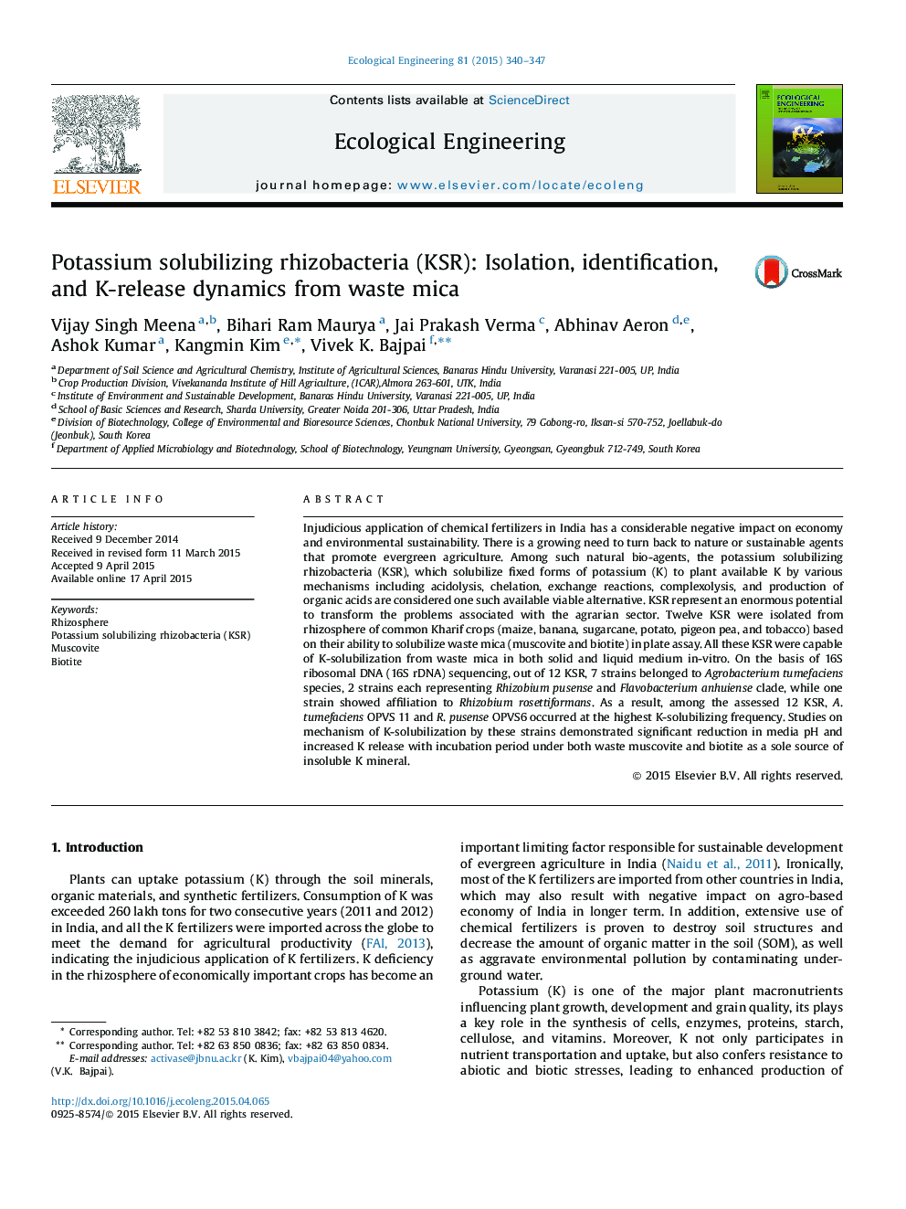 Potassium solubilizing rhizobacteria (KSR): Isolation, identification, and K-release dynamics from waste mica