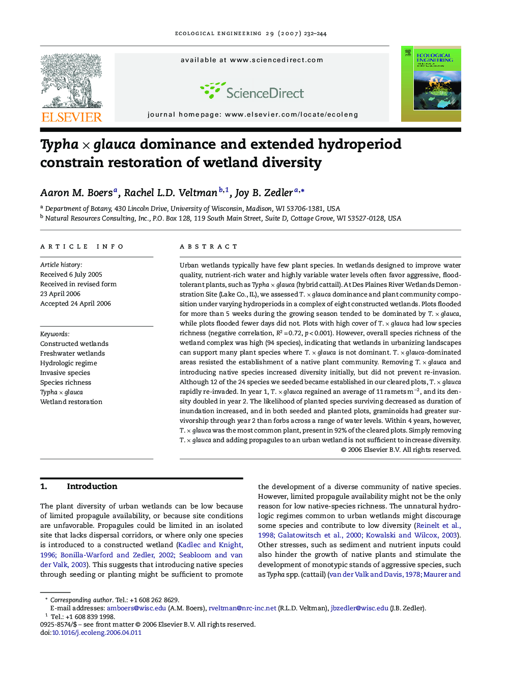 Typha × glauca dominance and extended hydroperiod constrain restoration of wetland diversity