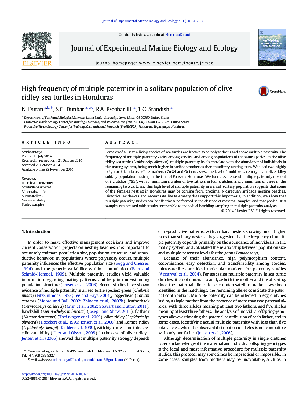 High frequency of multiple paternity in a solitary population of olive ridley sea turtles in Honduras