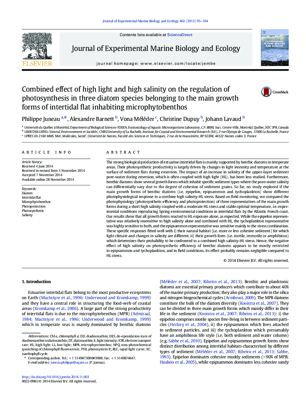 Combined effect of high light and high salinity on the regulation of photosynthesis in three diatom species belonging to the main growth forms of intertidal flat inhabiting microphytobenthos