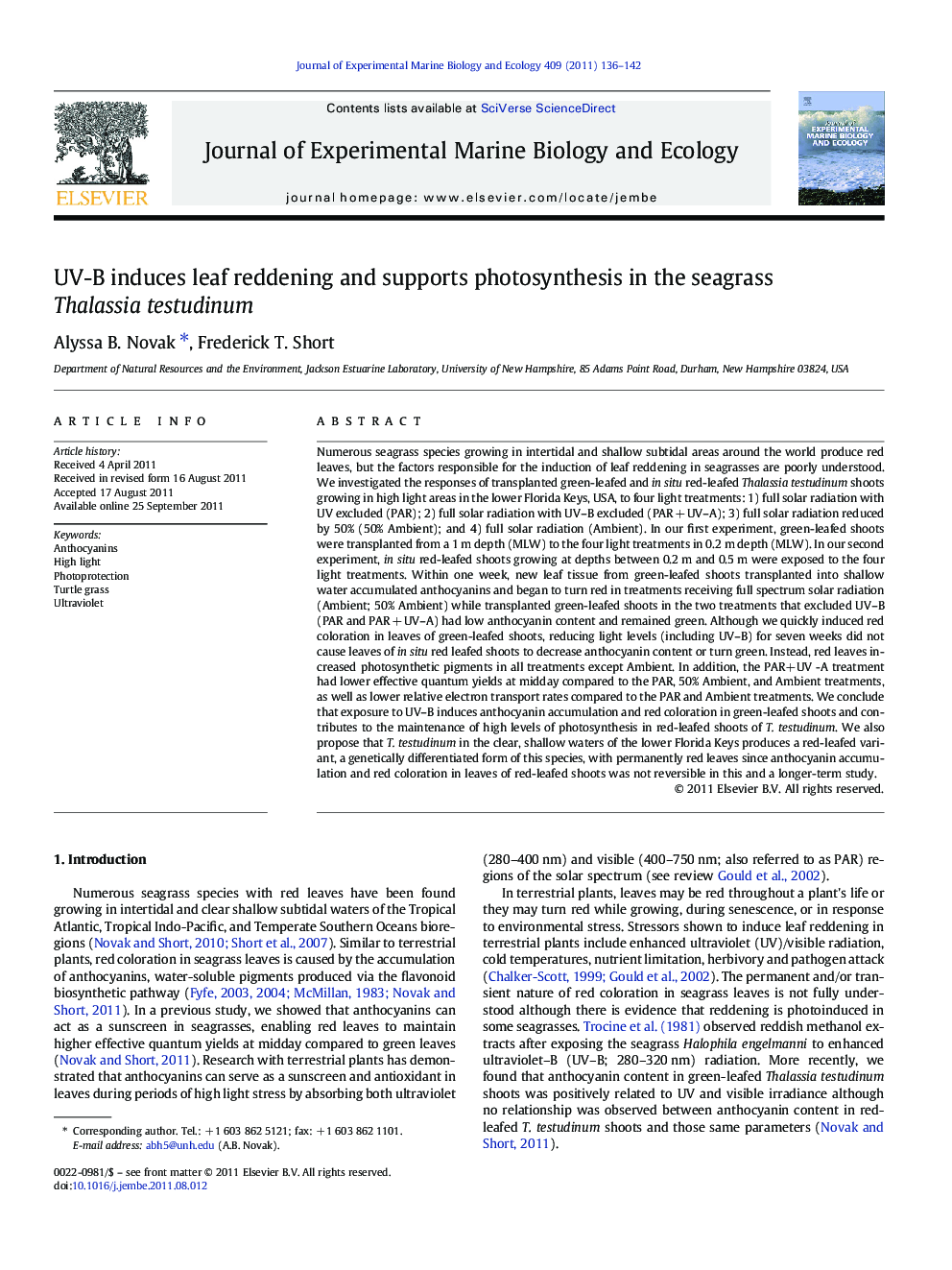 UV-B induces leaf reddening and supports photosynthesis in the seagrass Thalassia testudinum