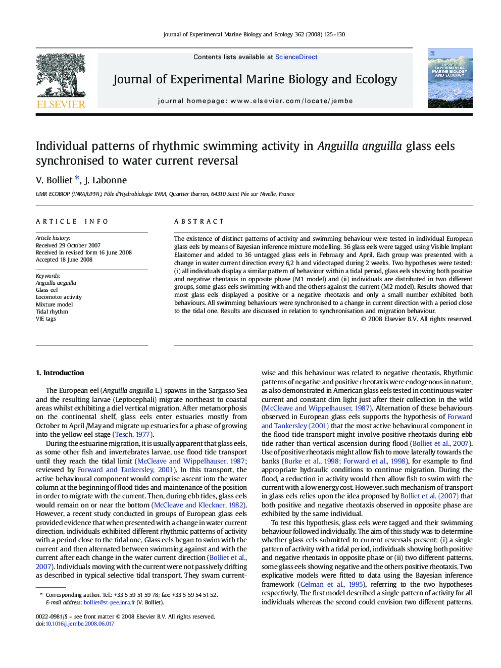 Individual patterns of rhythmic swimming activity in Anguilla anguilla glass eels synchronised to water current reversal