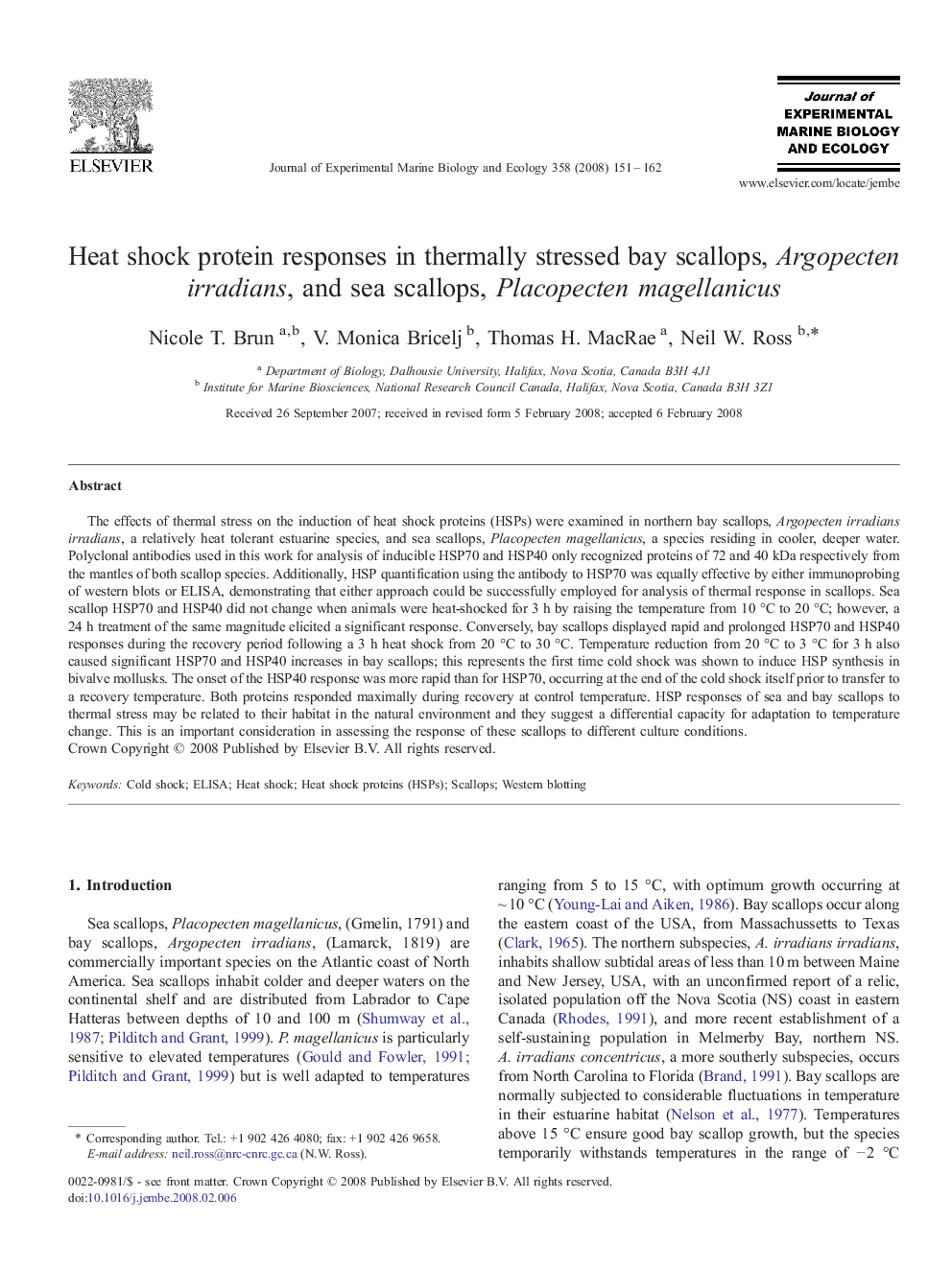 Heat shock protein responses in thermally stressed bay scallops, Argopecten irradians, and sea scallops, Placopecten magellanicus