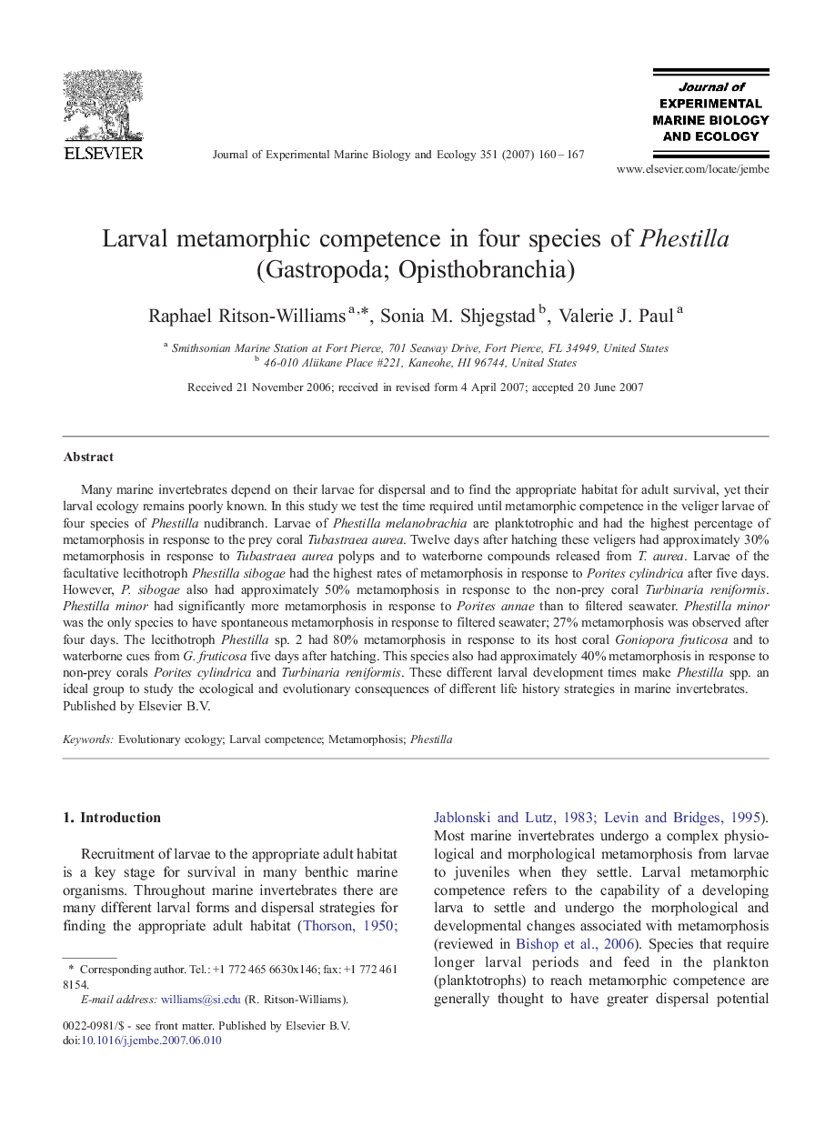 Larval metamorphic competence in four species of Phestilla (Gastropoda; Opisthobranchia)