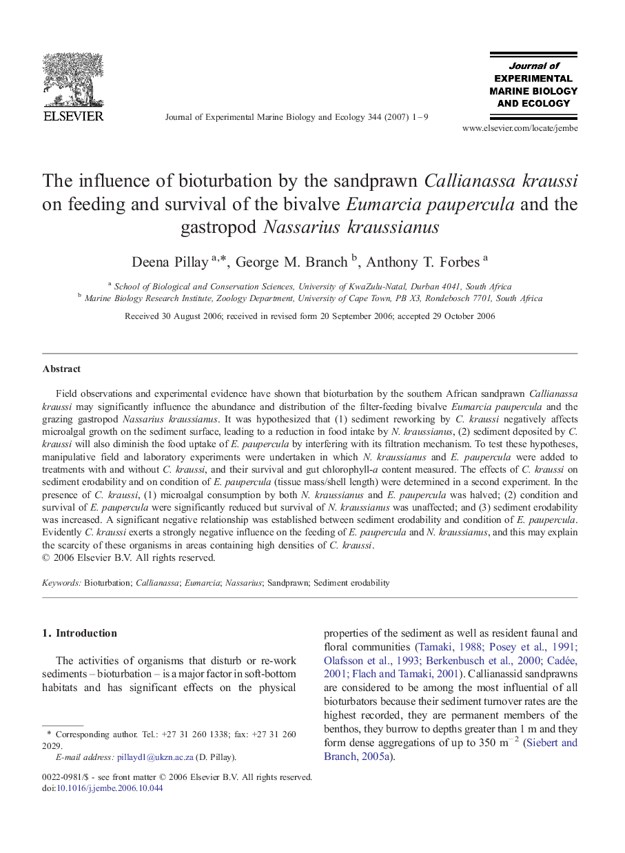 The influence of bioturbation by the sandprawn Callianassa kraussi on feeding and survival of the bivalve Eumarcia paupercula and the gastropod Nassarius kraussianus