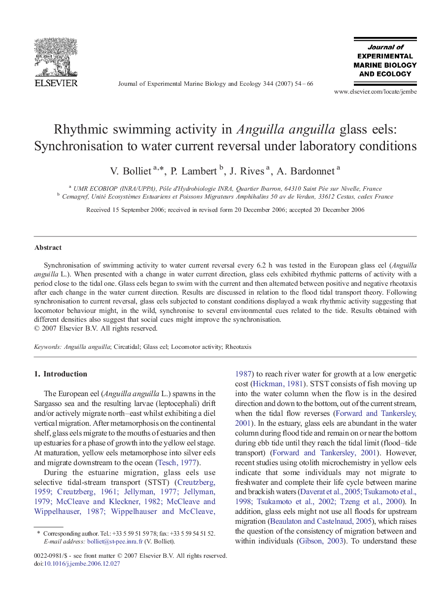 Rhythmic swimming activity in Anguilla anguilla glass eels: Synchronisation to water current reversal under laboratory conditions