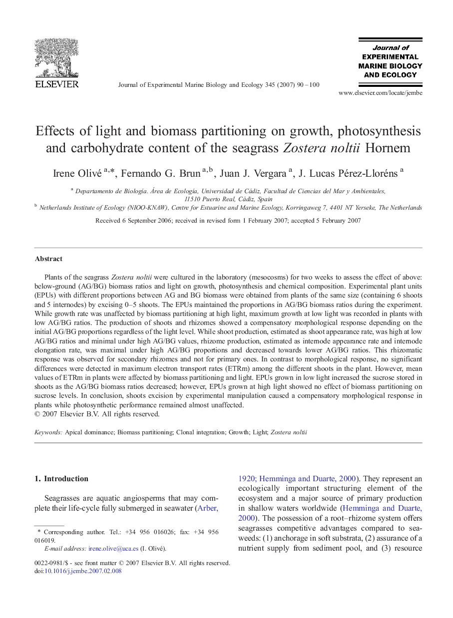 Effects of light and biomass partitioning on growth, photosynthesis and carbohydrate content of the seagrass Zostera noltii Hornem