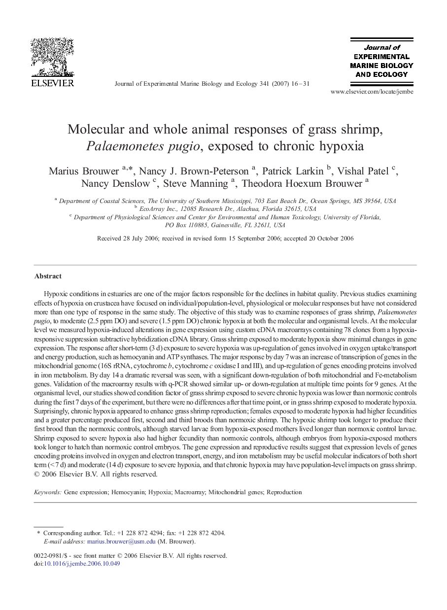 Molecular and whole animal responses of grass shrimp, Palaemonetes pugio, exposed to chronic hypoxia