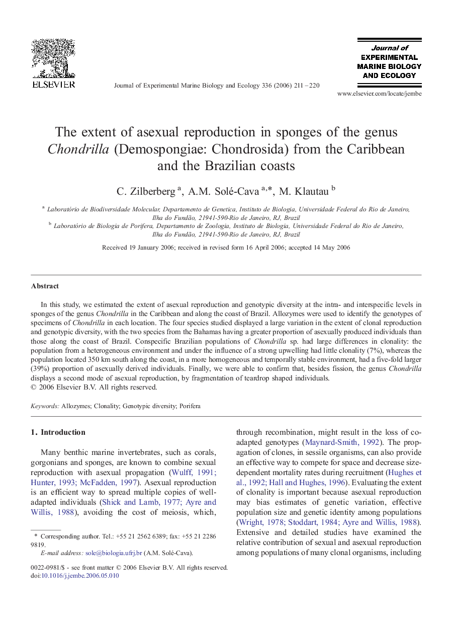 The extent of asexual reproduction in sponges of the genus Chondrilla (Demospongiae: Chondrosida) from the Caribbean and the Brazilian coasts