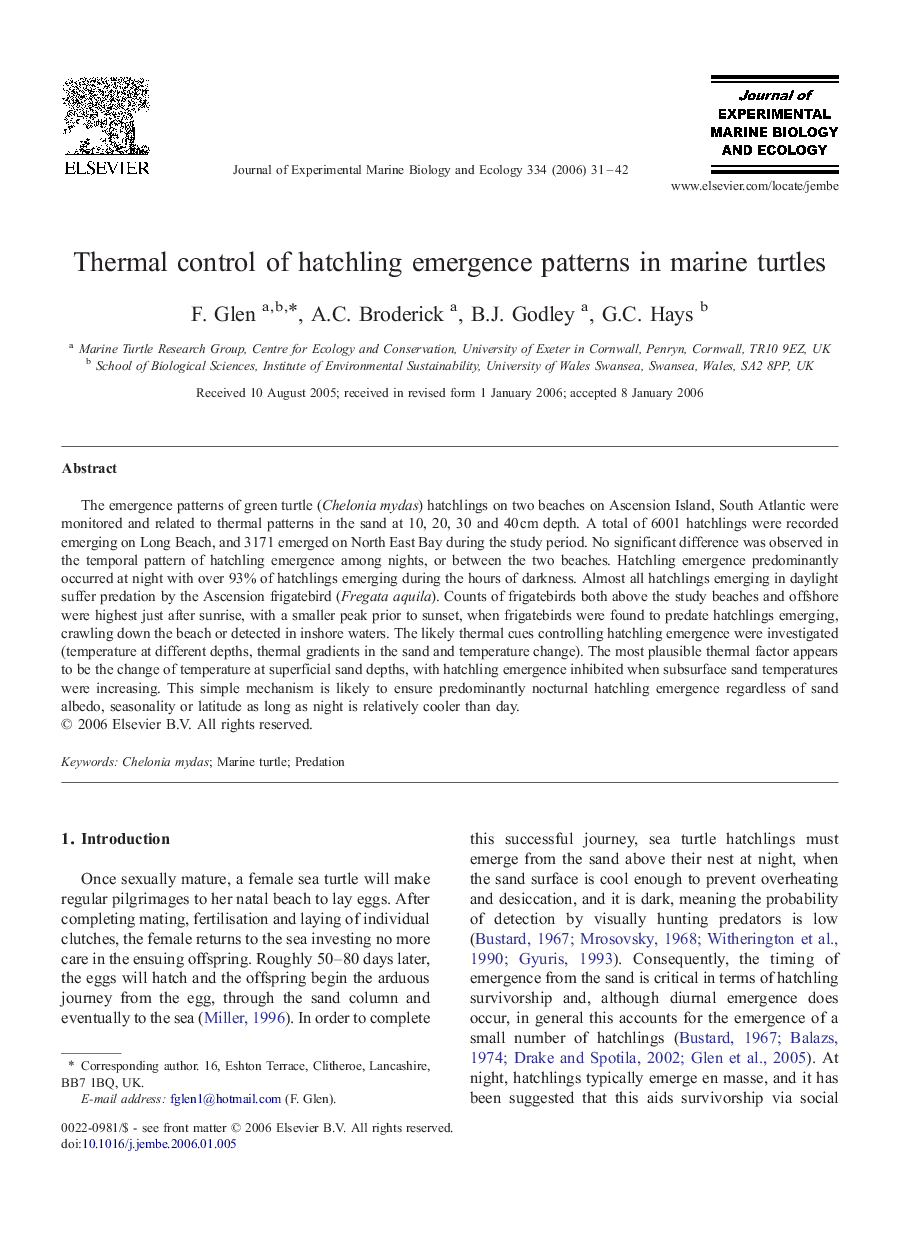 Thermal control of hatchling emergence patterns in marine turtles