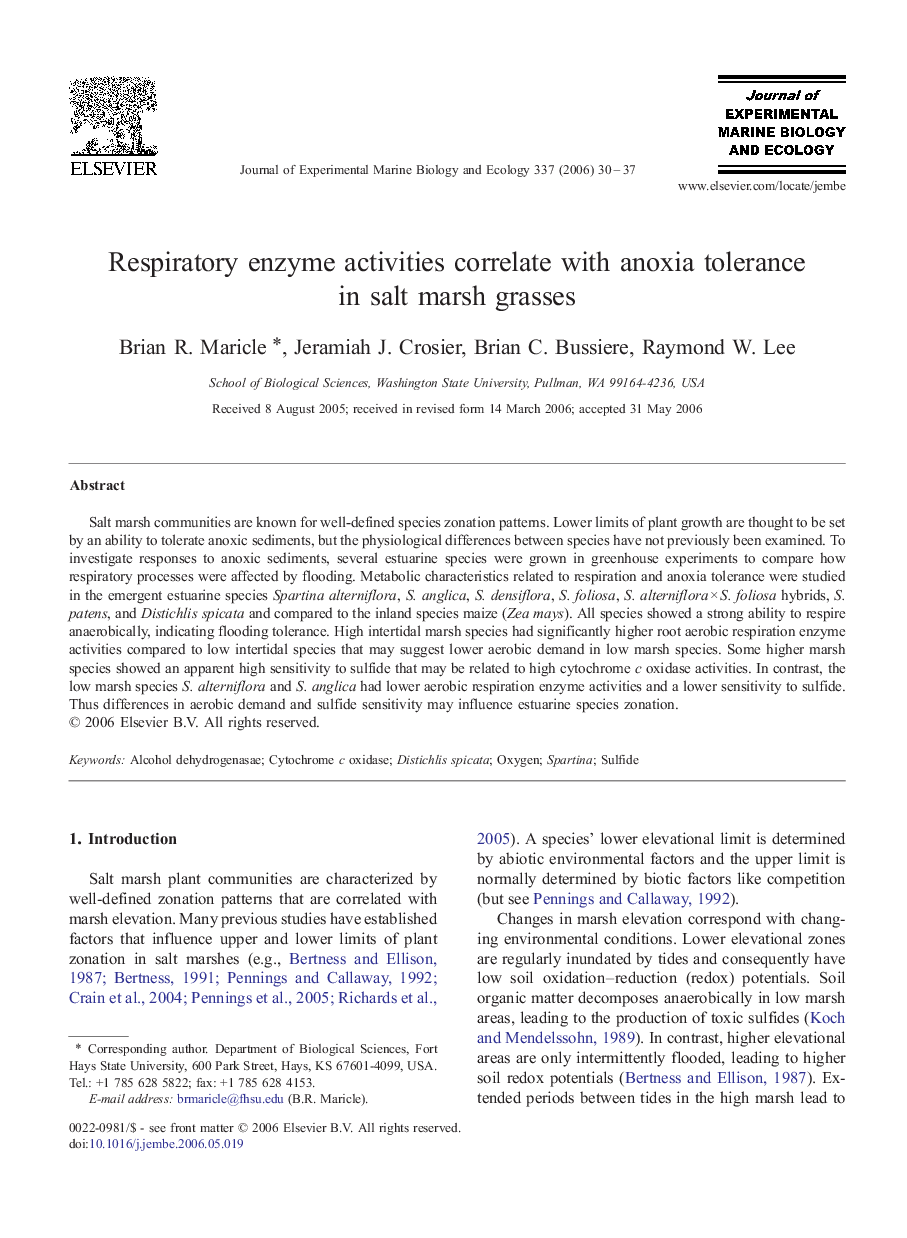 Respiratory enzyme activities correlate with anoxia tolerance in salt marsh grasses