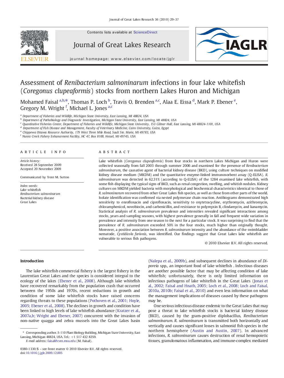 Assessment of Renibacterium salmoninarum infections in four lake whitefish (Coregonus clupeaformis) stocks from northern Lakes Huron and Michigan