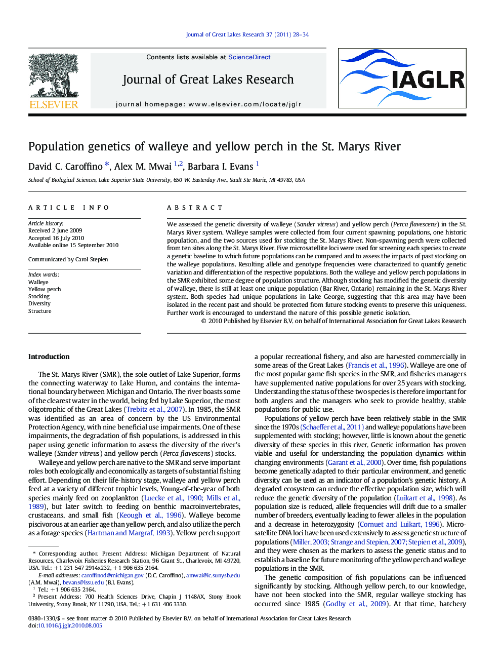 Population genetics of walleye and yellow perch in the St. Marys River