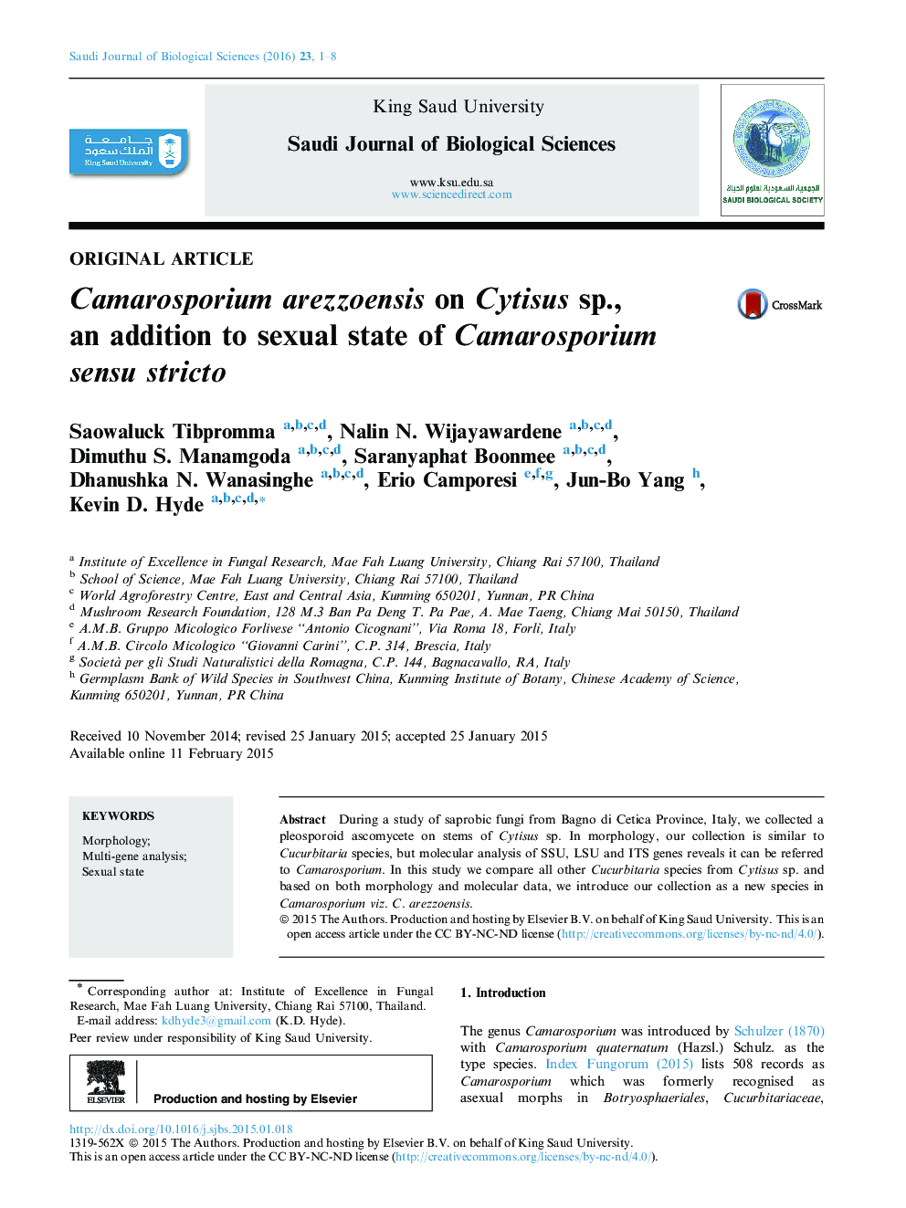 Camarosporium arezzoensis on Cytisus sp., an addition to sexual state of Camarosporium sensu stricto 