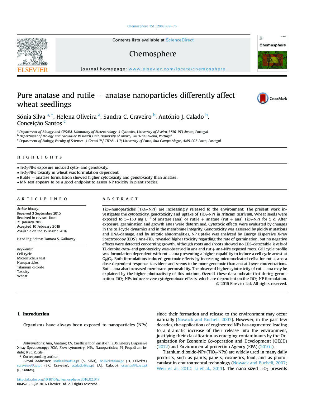 Pure anatase and rutile + anatase nanoparticles differently affect wheat seedlings