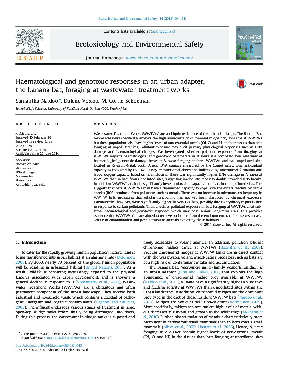 Haematological and genotoxic responses in an urban adapter, the banana bat, foraging at wastewater treatment works