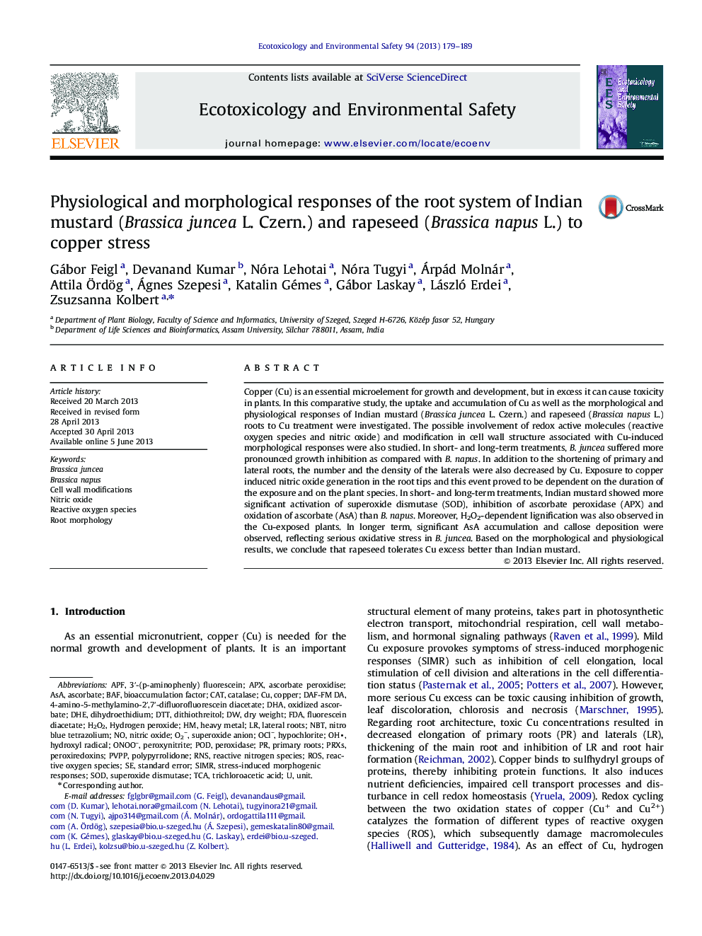 Physiological and morphological responses of the root system of Indian mustard (Brassica juncea L. Czern.) and rapeseed (Brassica napus L.) to copper stress