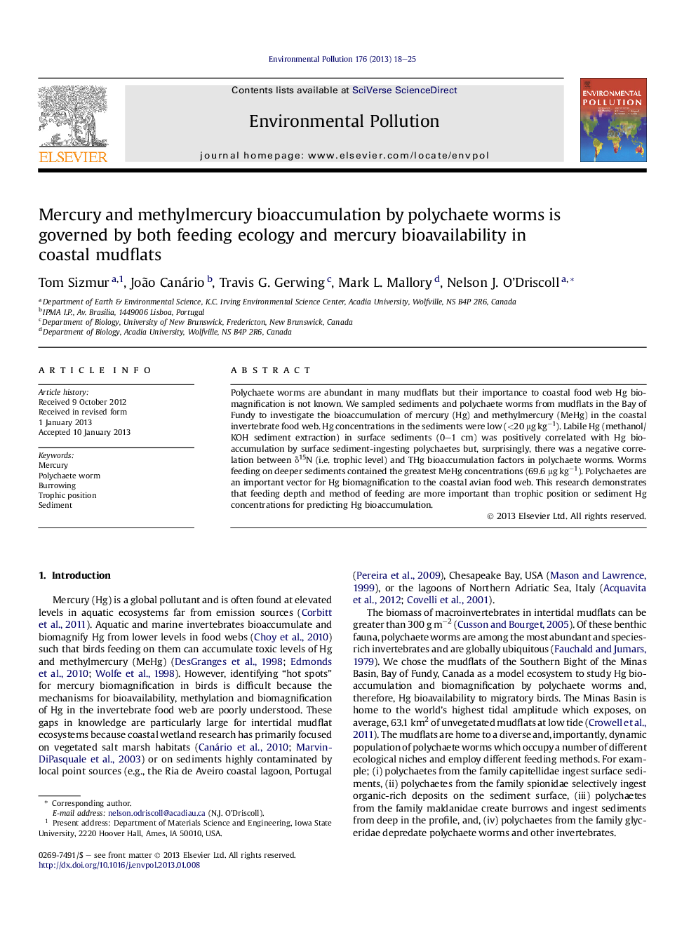 Mercury and methylmercury bioaccumulation by polychaete worms is governed by both feeding ecology and mercury bioavailability in coastal mudflats