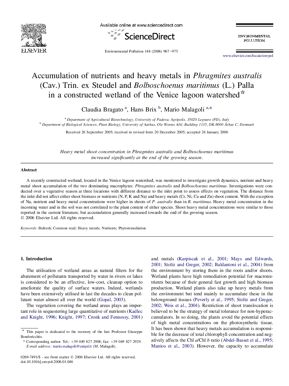 Accumulation of nutrients and heavy metals in Phragmites australis (Cav.) Trin. ex Steudel and Bolboschoenus maritimus (L.) Palla in a constructed wetland of the Venice lagoon watershed 