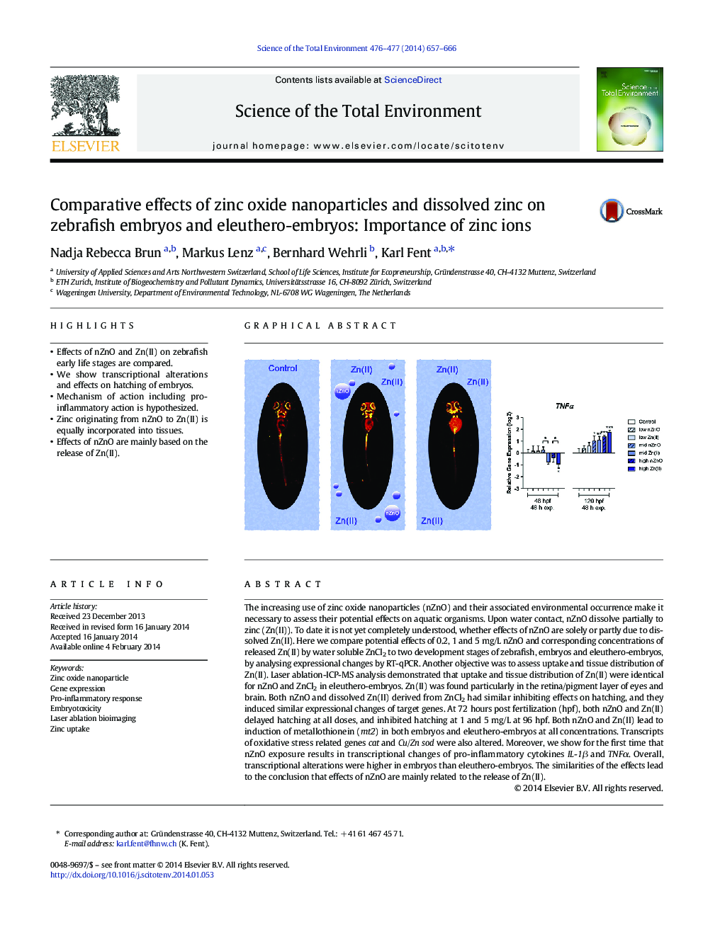 Comparative effects of zinc oxide nanoparticles and dissolved zinc on zebrafish embryos and eleuthero-embryos: Importance of zinc ions