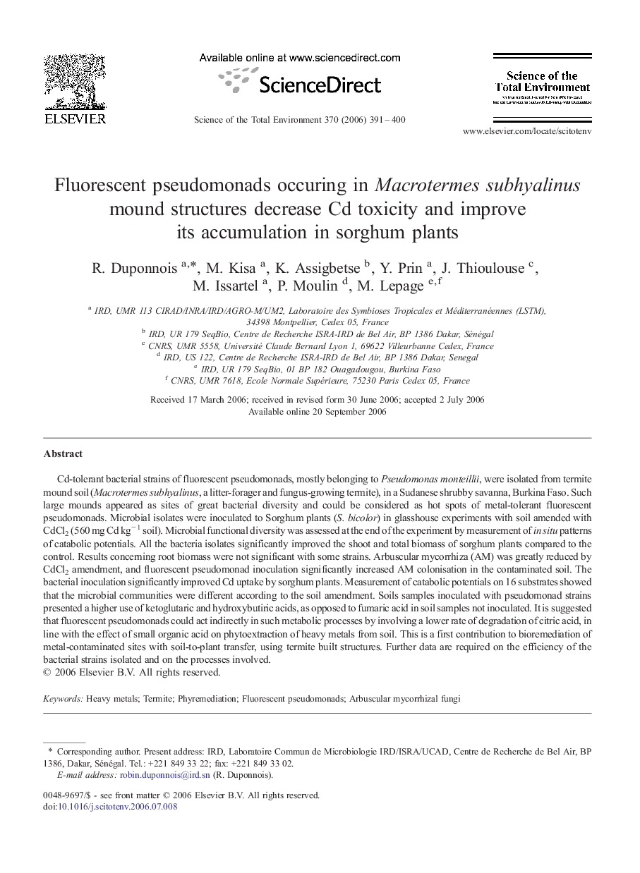 Fluorescent pseudomonads occuring in Macrotermes subhyalinus mound structures decrease Cd toxicity and improve its accumulation in sorghum plants