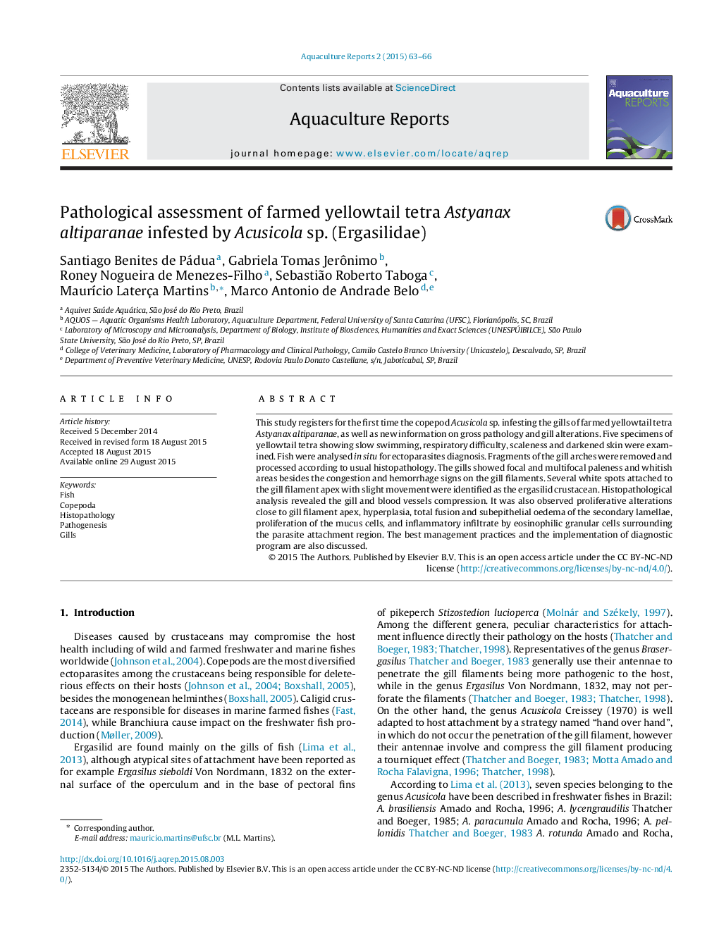 Pathological assessment of farmed yellowtail tetra Astyanax altiparanae infested by Acusicola sp. (Ergasilidae)