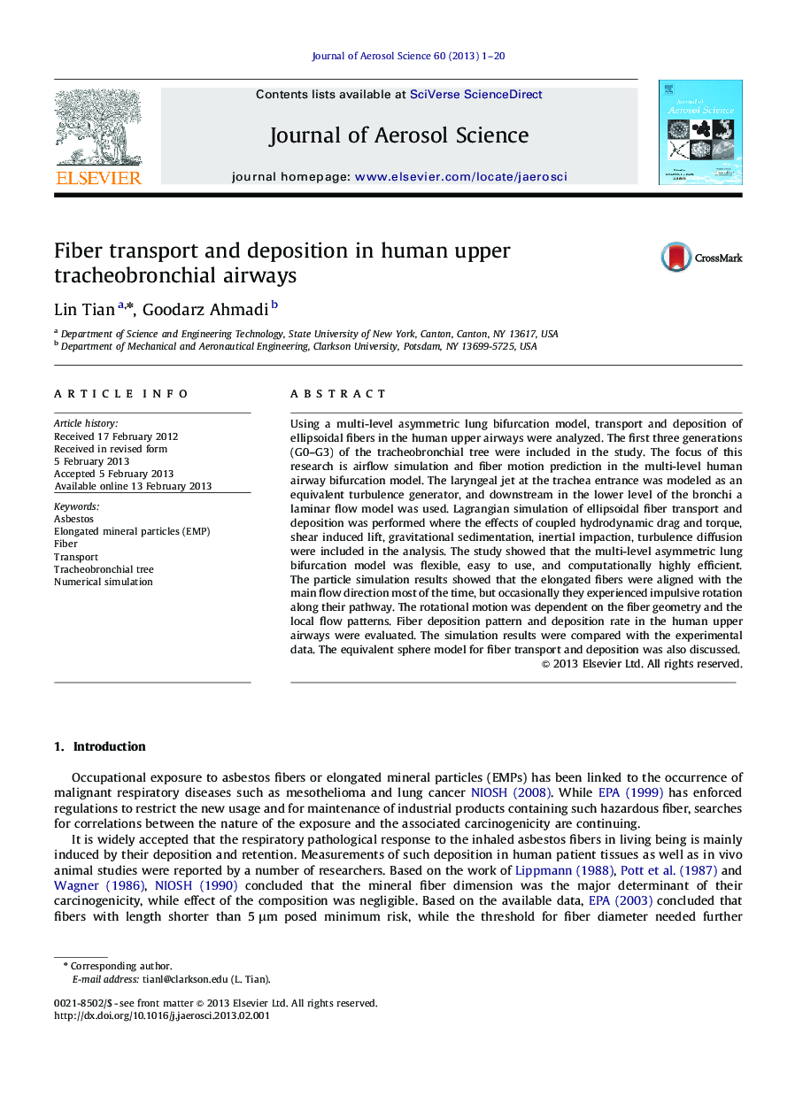 Fiber transport and deposition in human upper tracheobronchial airways