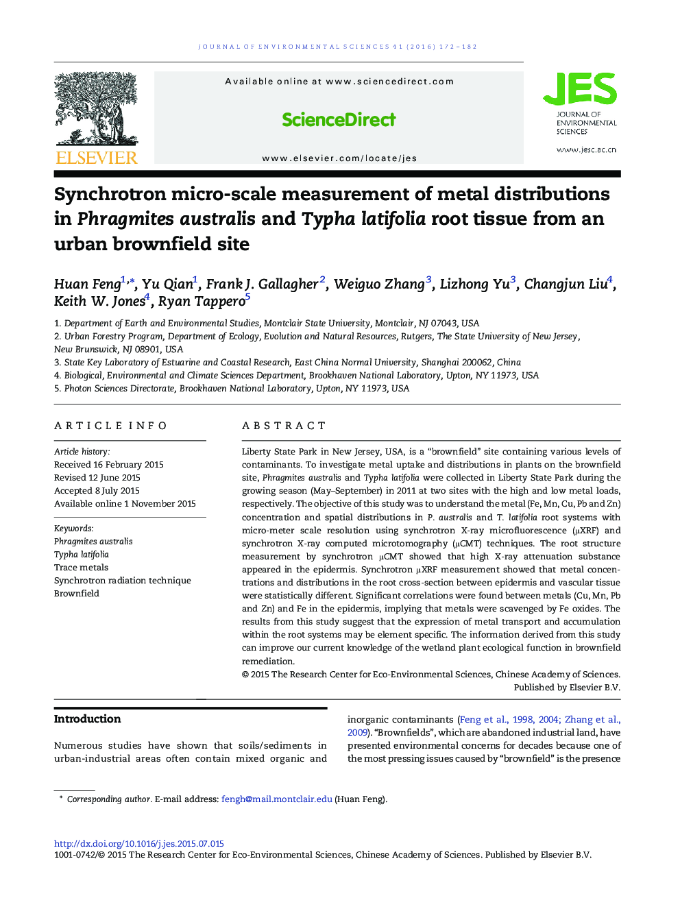 Synchrotron micro-scale measurement of metal distributions in Phragmites australis and Typha latifolia root tissue from an urban brownfield site