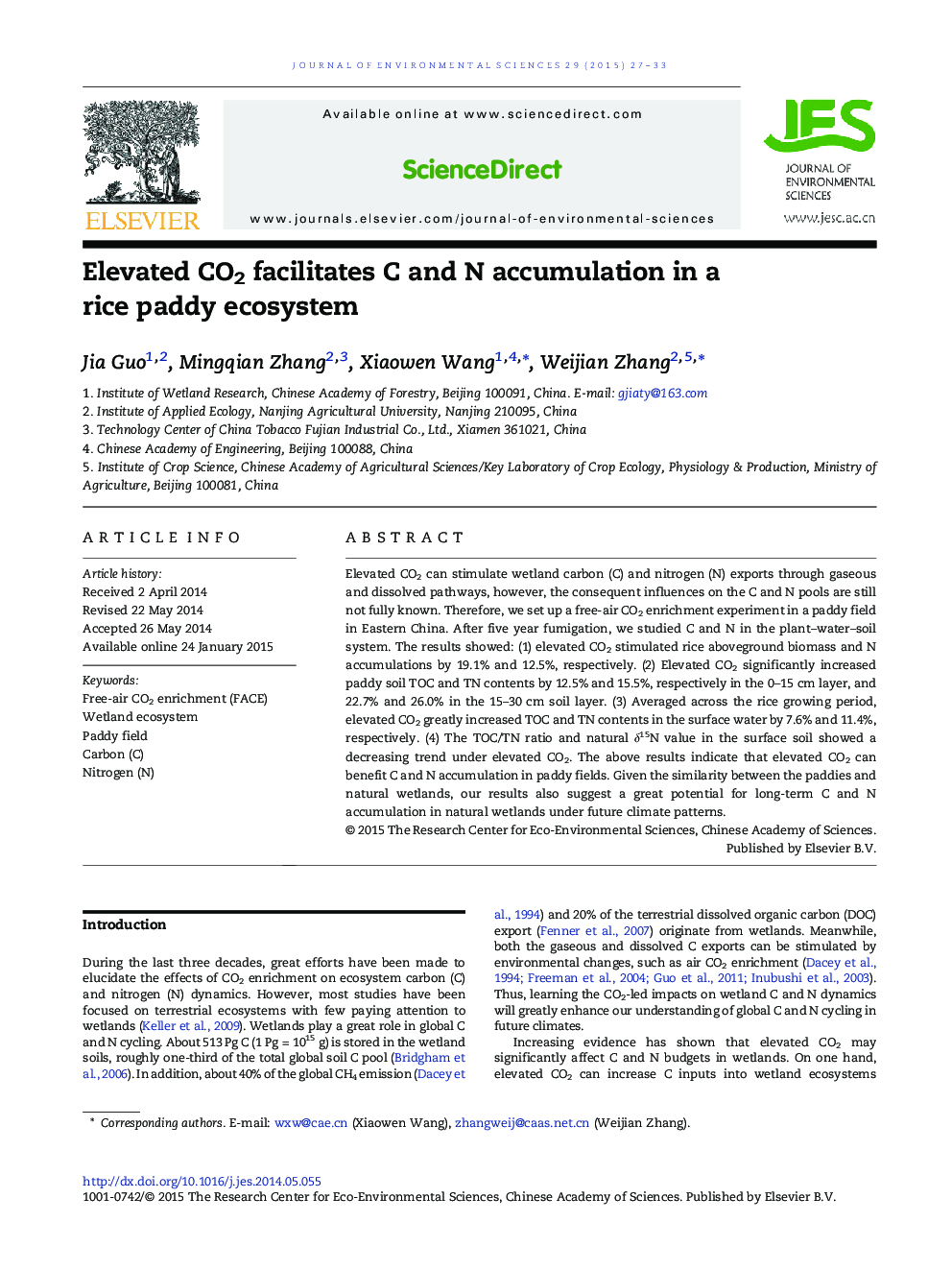 Elevated CO2 facilitates C and N accumulation in a rice paddy ecosystem