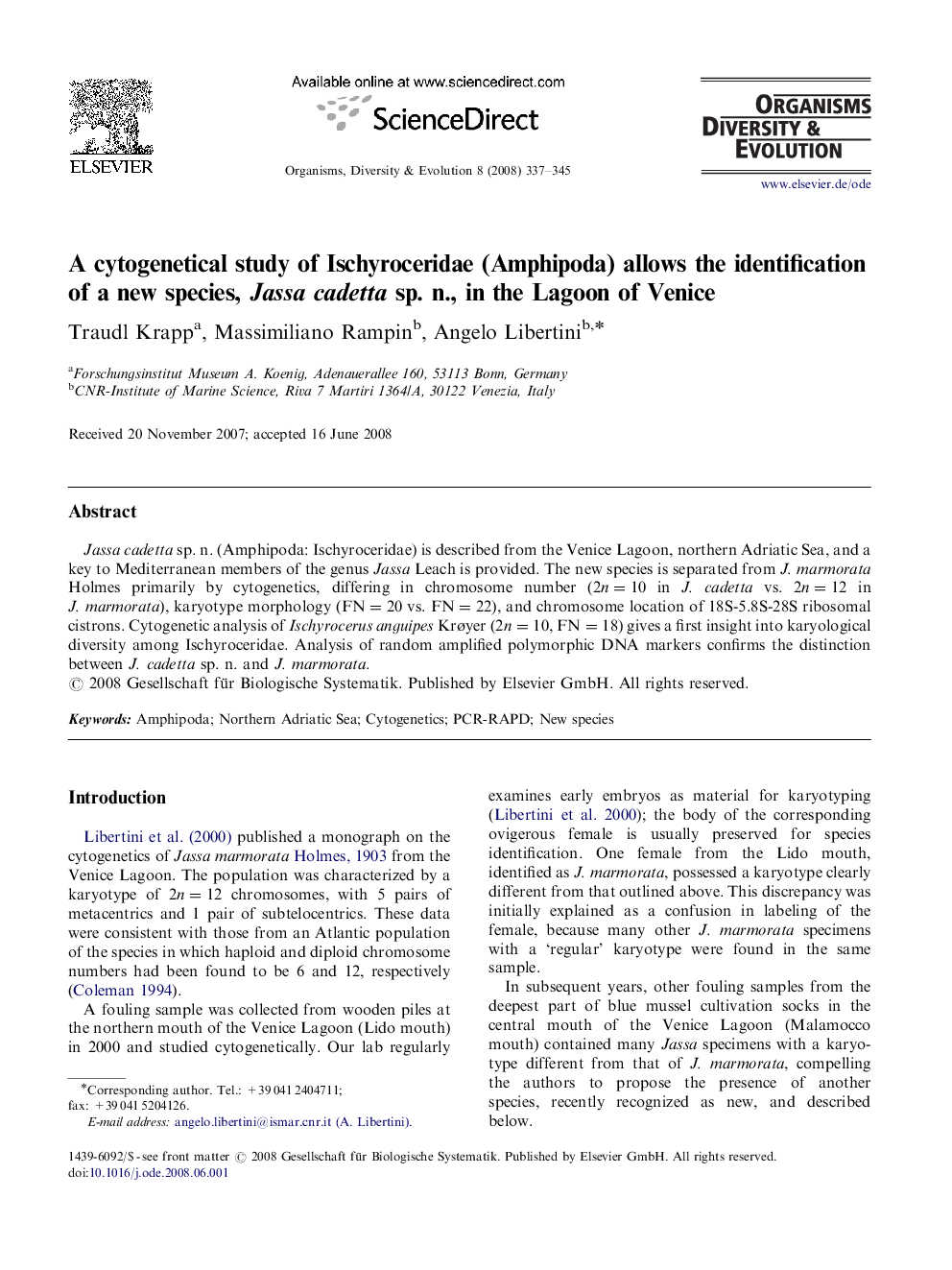 A cytogenetical study of Ischyroceridae (Amphipoda) allows the identification of a new species, Jassa cadetta sp. n., in the Lagoon of Venice