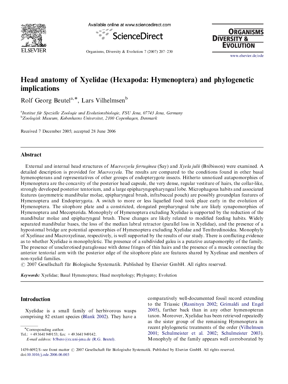 Head anatomy of Xyelidae (Hexapoda: Hymenoptera) and phylogenetic implications