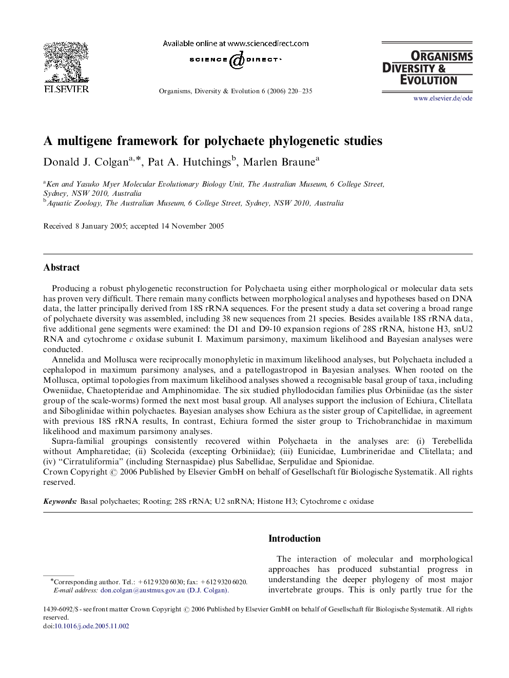 A multigene framework for polychaete phylogenetic studies