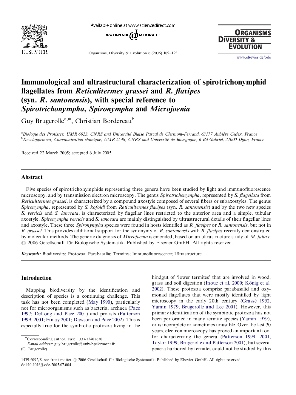 Immunological and ultrastructural characterization of spirotrichonymphid flagellates from Reticulitermes grassei and R. flavipes (syn. R. santonensis), with special reference to Spirotrichonympha, Spironympha and Microjoenia