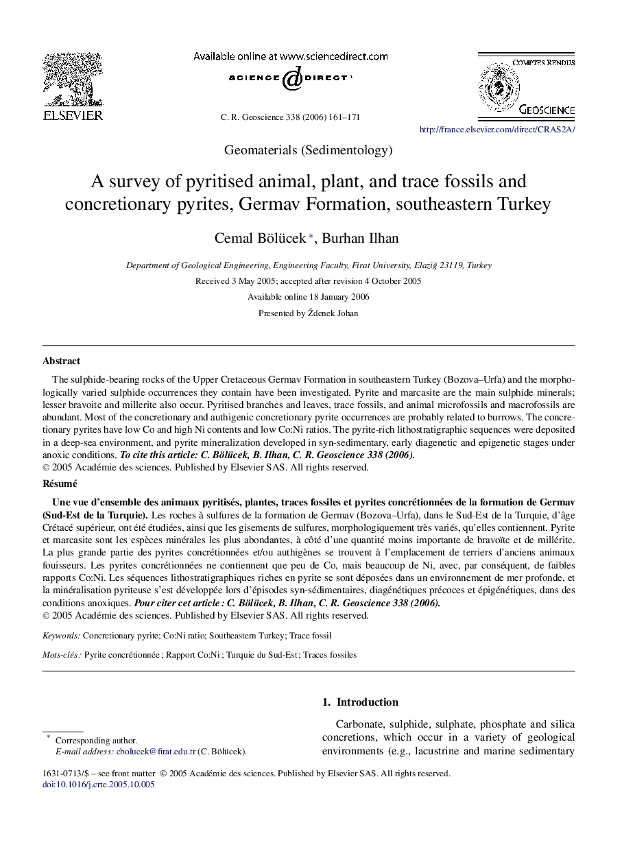 A survey of pyritised animal, plant, and trace fossils and concretionary pyrites, Germav Formation, southeastern Turkey