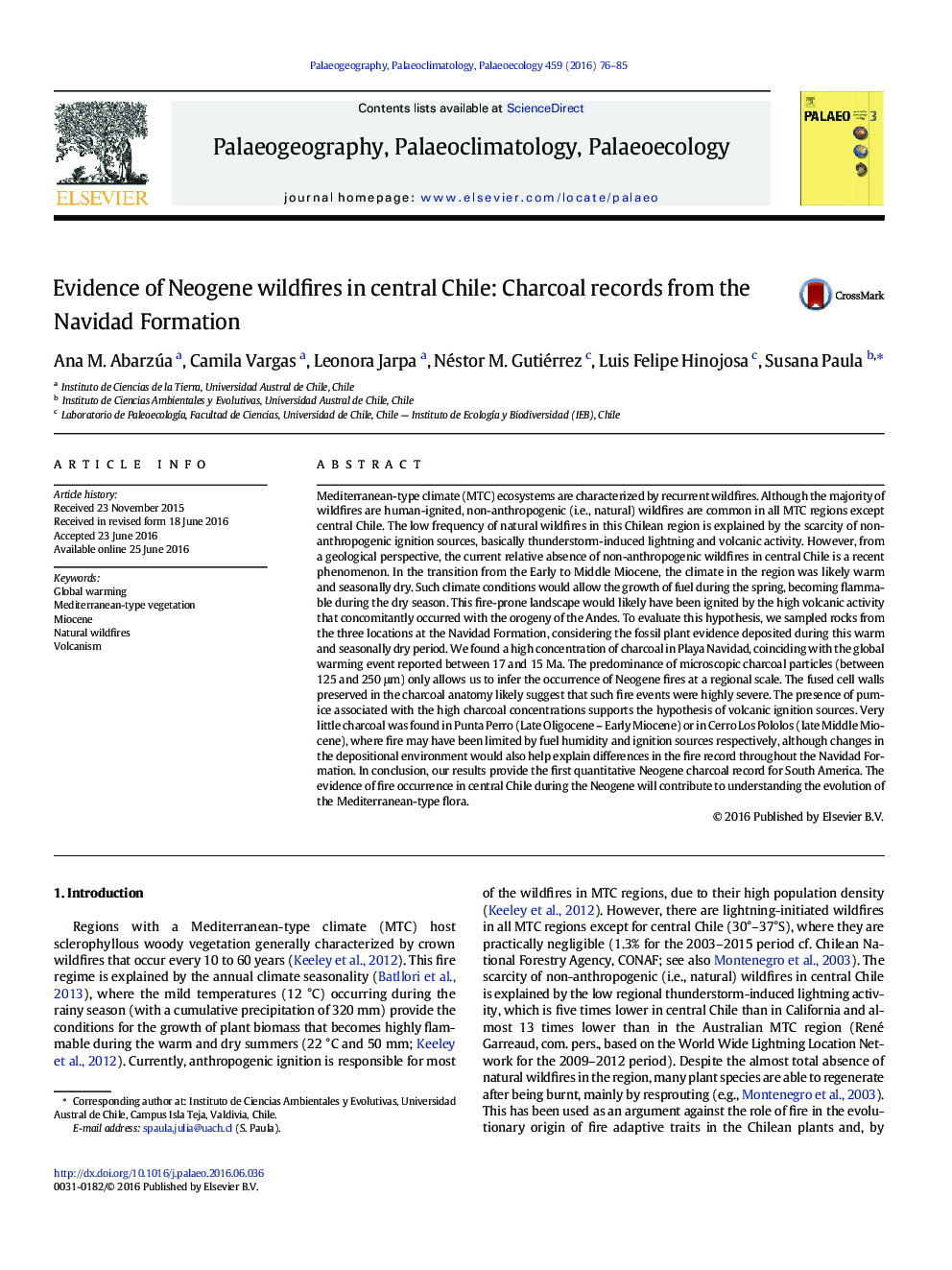 Evidence of Neogene wildfires in central Chile: Charcoal records from the Navidad Formation