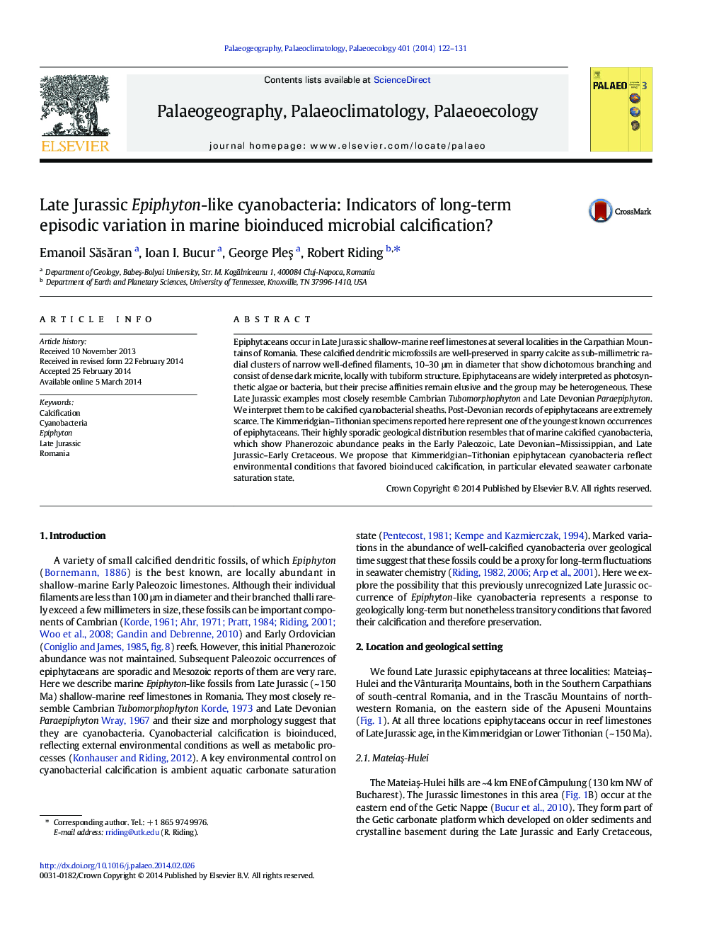 Late Jurassic Epiphyton-like cyanobacteria: Indicators of long-term episodic variation in marine bioinduced microbial calcification?