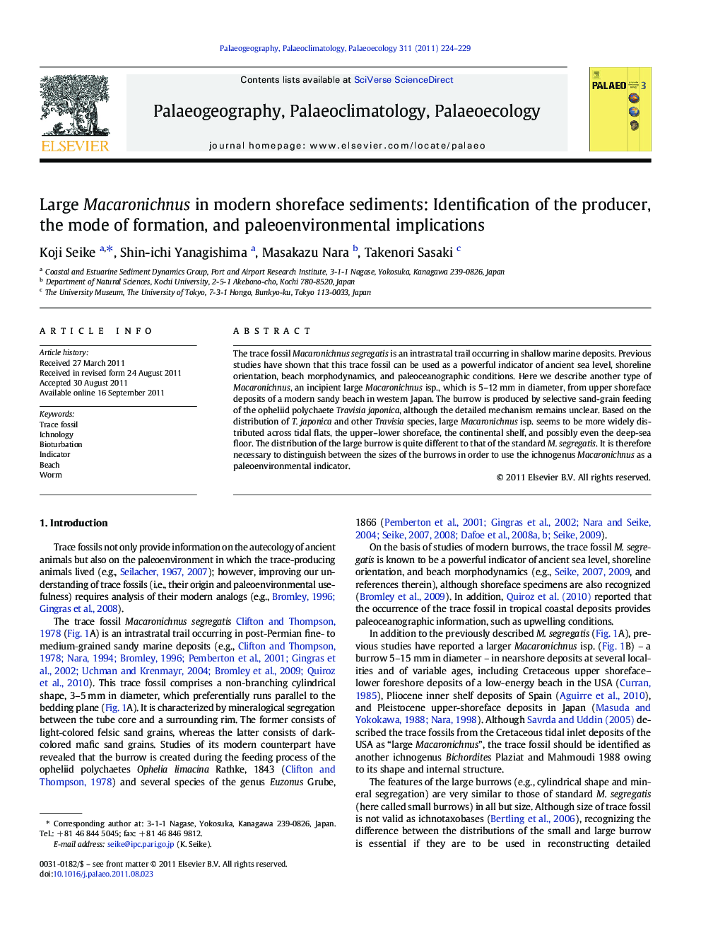 Large Macaronichnus in modern shoreface sediments: Identification of the producer, the mode of formation, and paleoenvironmental implications